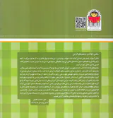 بابا یاد داد جلد شانزدهم حرف شانزدهم ش